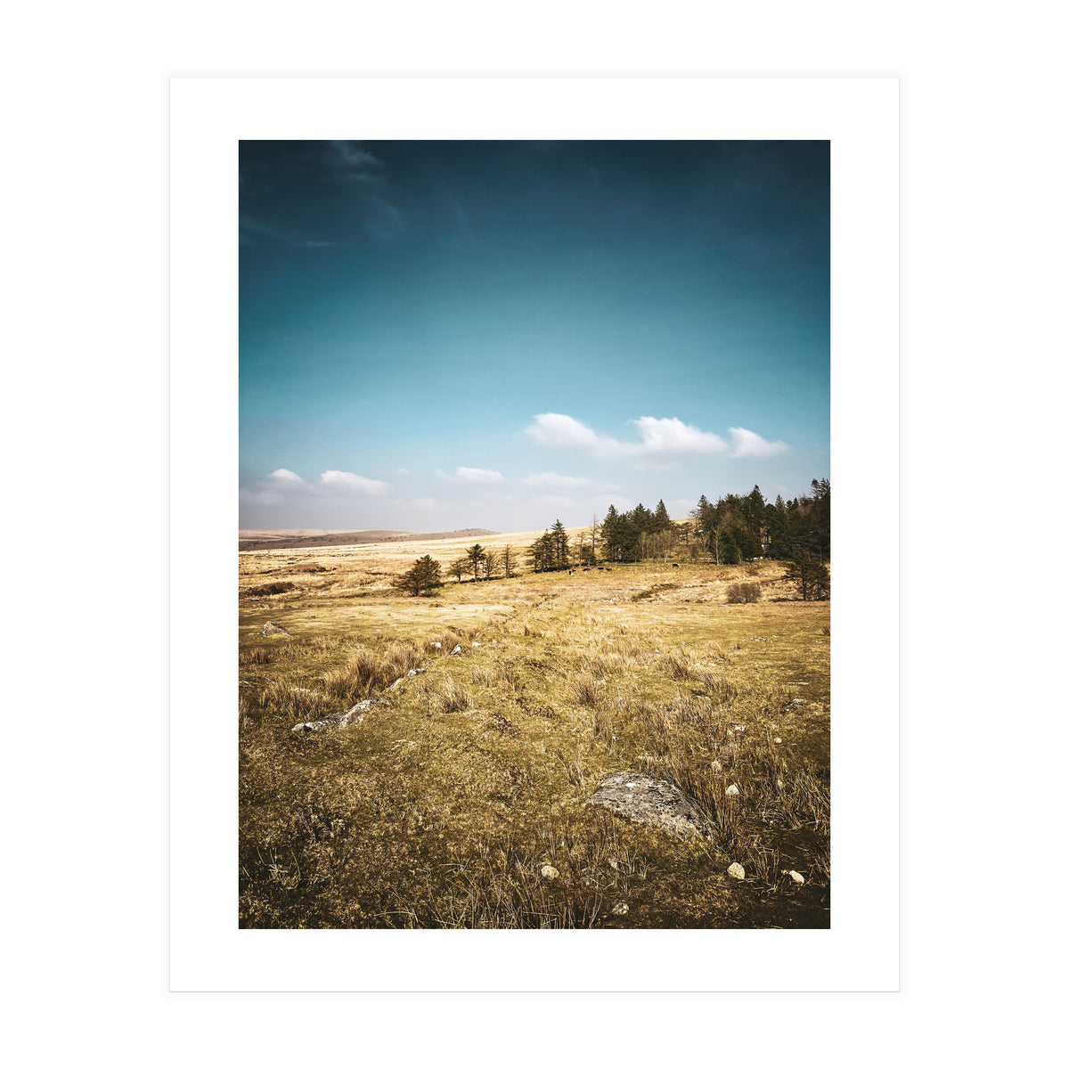 Dartmoor  (Print Only)