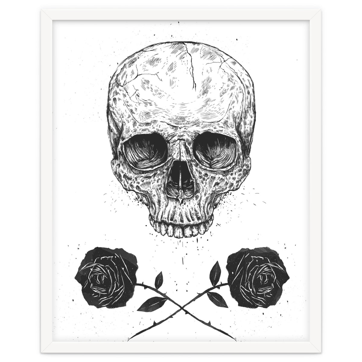 Skull N Roses