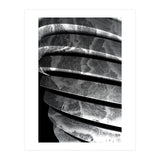 Parole I  (Print Only) thumbnail