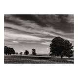Country Road, Illinois  (Print Only) thumbnail