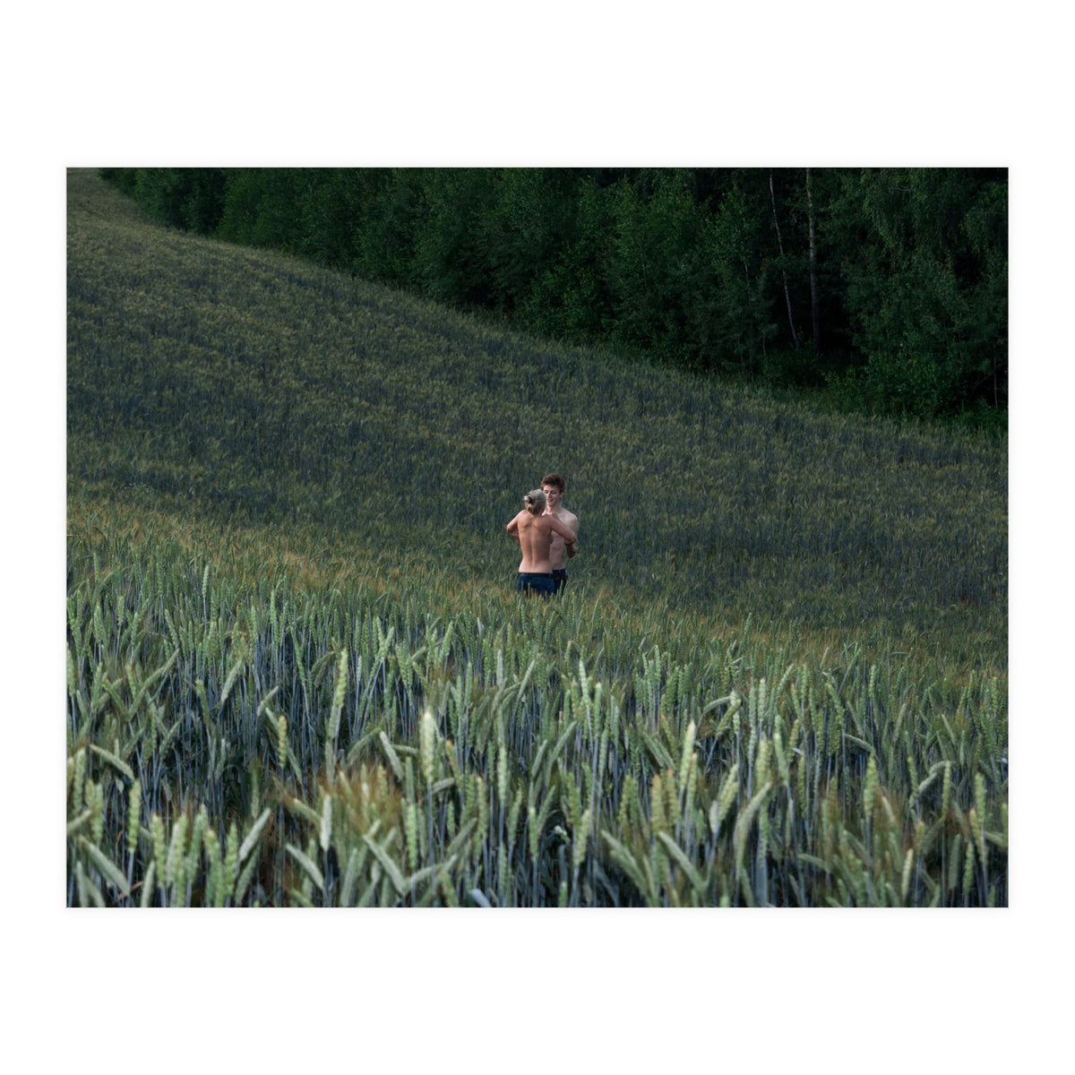 The kids Are all Wild (Print Only)