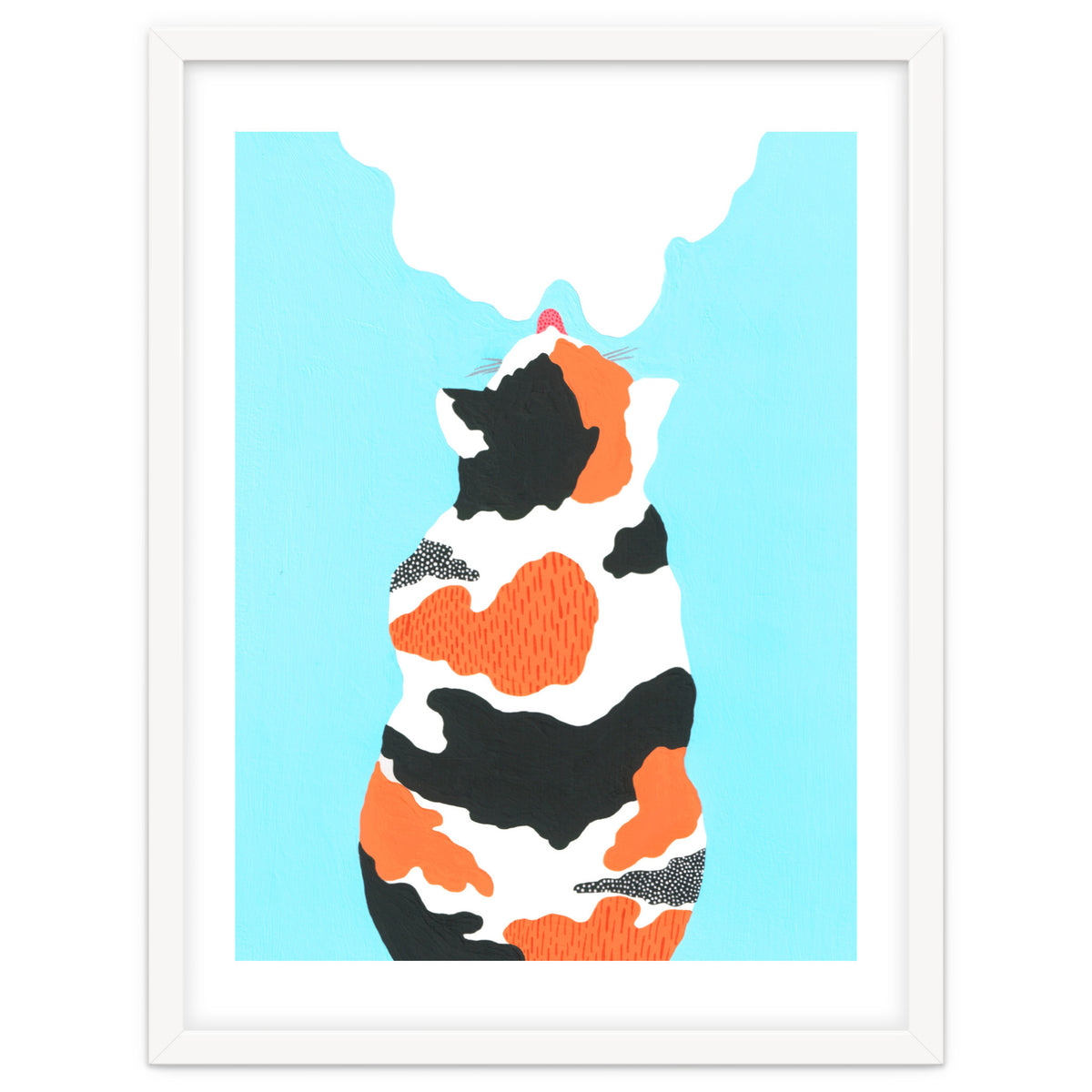 Tri Colored Calico Cat