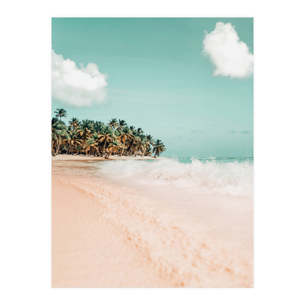 Palm Island (Print Only)