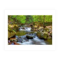 Spring At Harz Moutain (Print Only)