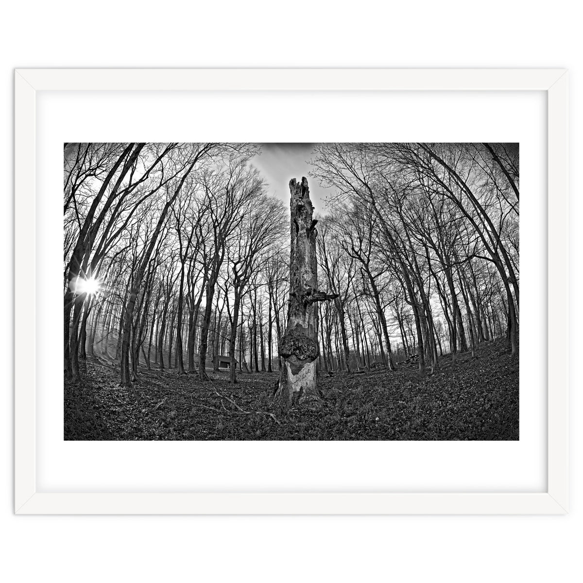 Circle of Growth and decay