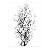 The Tree Black (Print Only) thumbnail