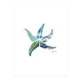 Starfish (Print Only) thumbnail