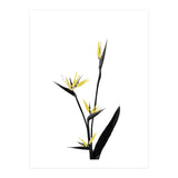 Flower Minimal Black And Gold 05 (Print Only) thumbnail