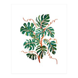 Monstera Deliciosa (Print Only) thumbnail