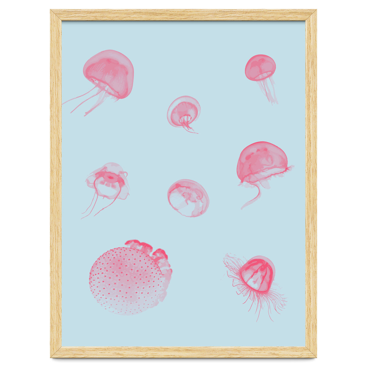 Jellyfish