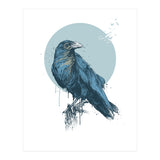 Blue Crow (Print Only) thumbnail