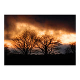 Spring Sunset (Print Only) thumbnail