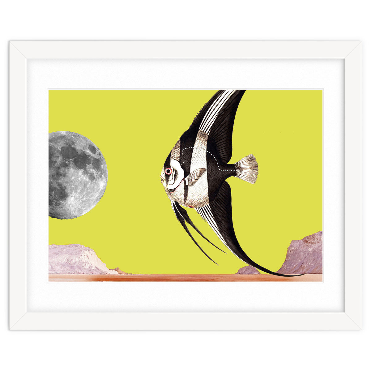 Plenty of fish in the sea yellow