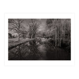 Bute Park, Cardiff  (Print Only) thumbnail