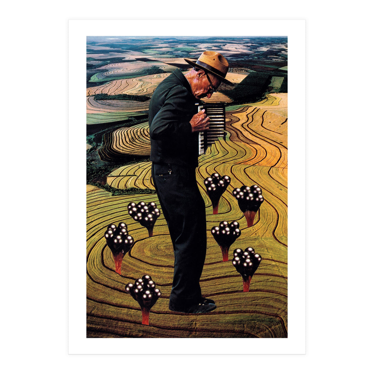 Accordion (Print Only)