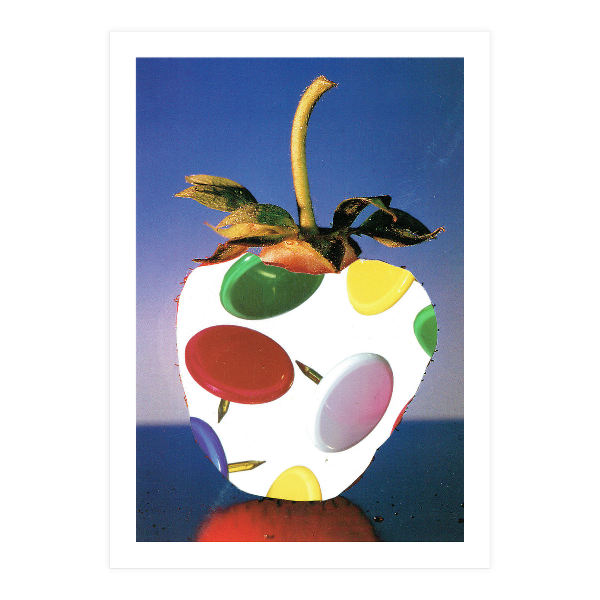 Stachelbeere (Print Only)