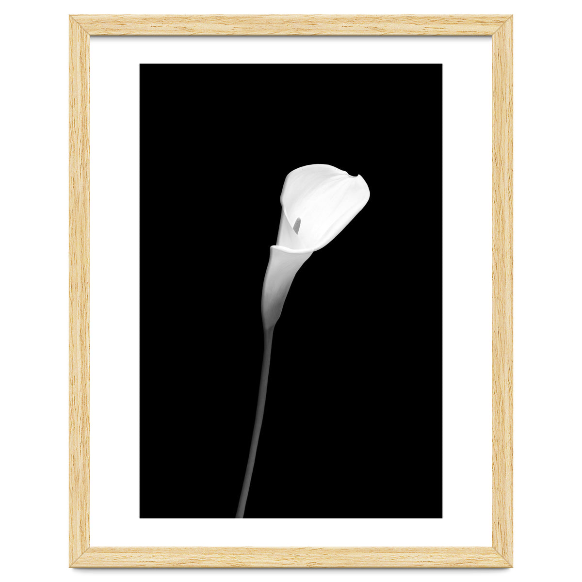 Calla | dark design