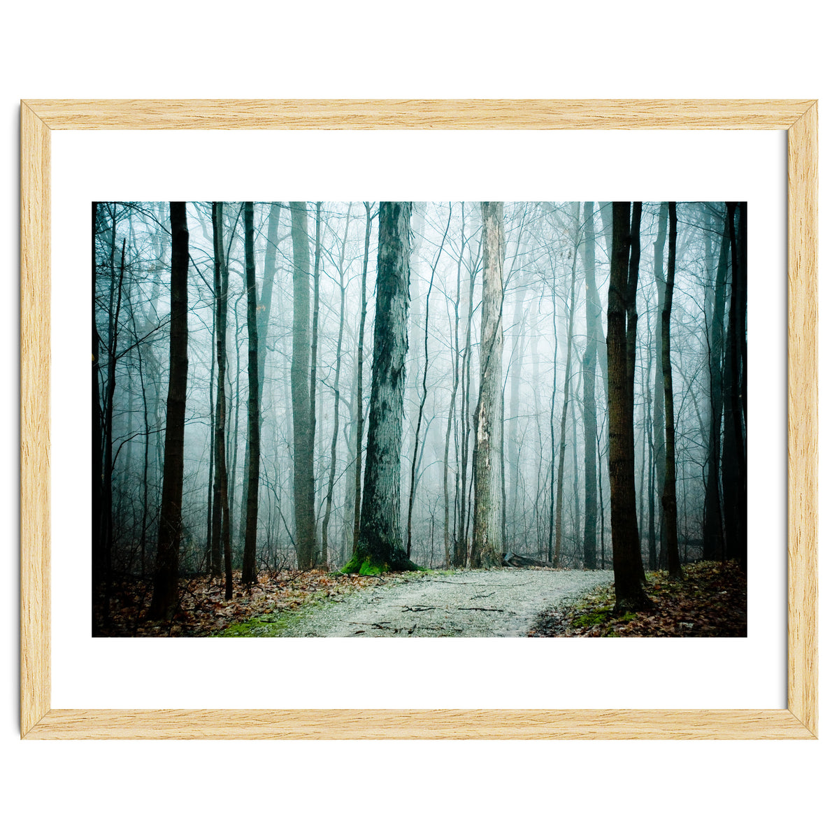 Gather Up Your Dreams