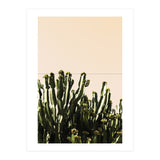 Cactus Vertical Color (Print Only) thumbnail