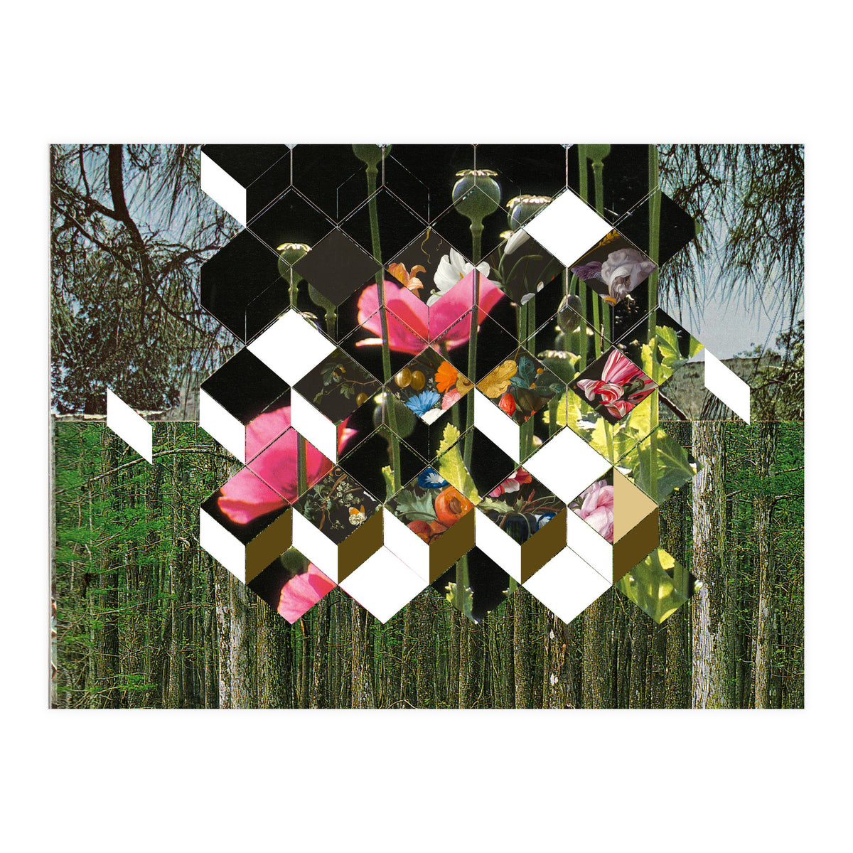 The Green (Print Only)