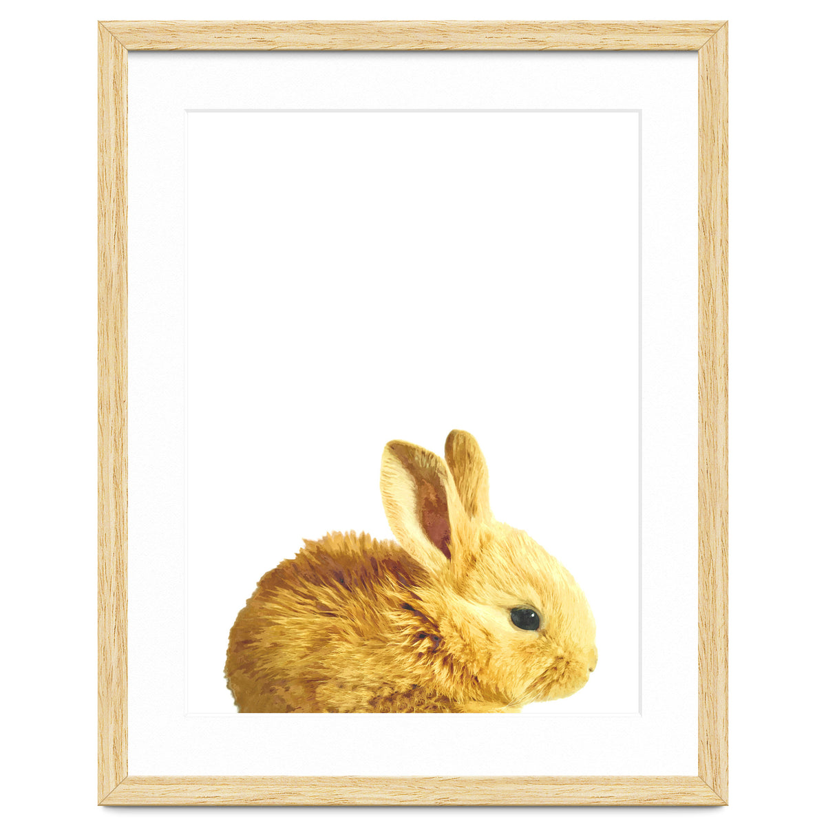 Bunny Portrait
