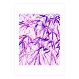 Ultra Violet (Print Only) thumbnail