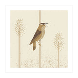 Sedge Warbler (Print Only) thumbnail