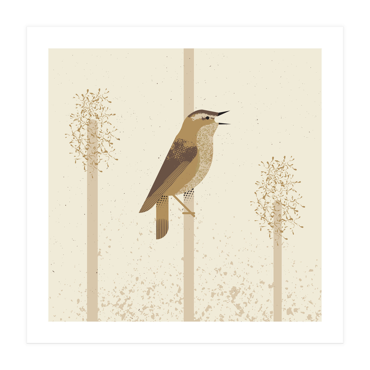 Sedge Warbler (Print Only)
