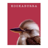 Kookaburra (Print Only) thumbnail