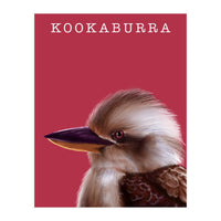 Kookaburra (Print Only)