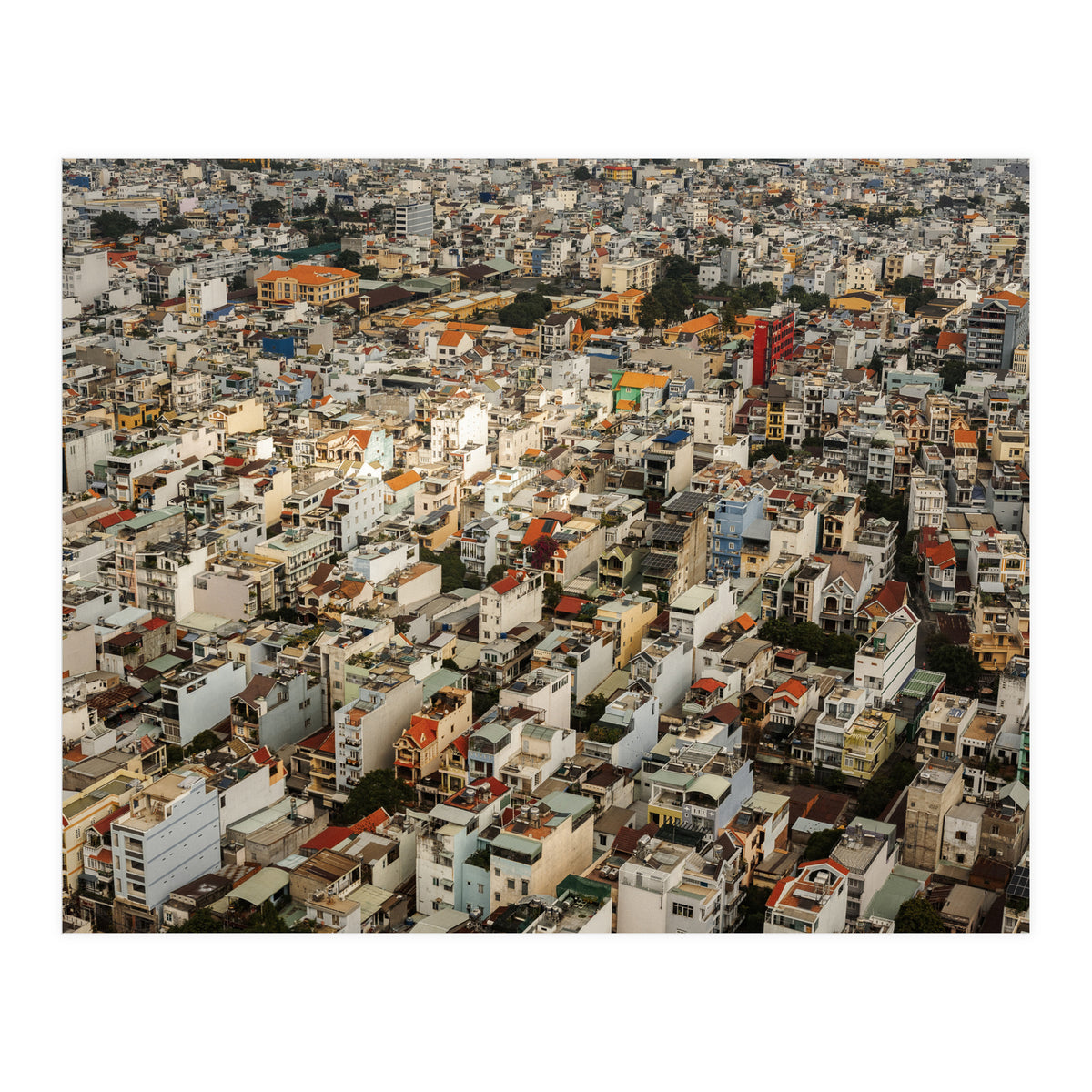 Concrete Jungle (Print Only)