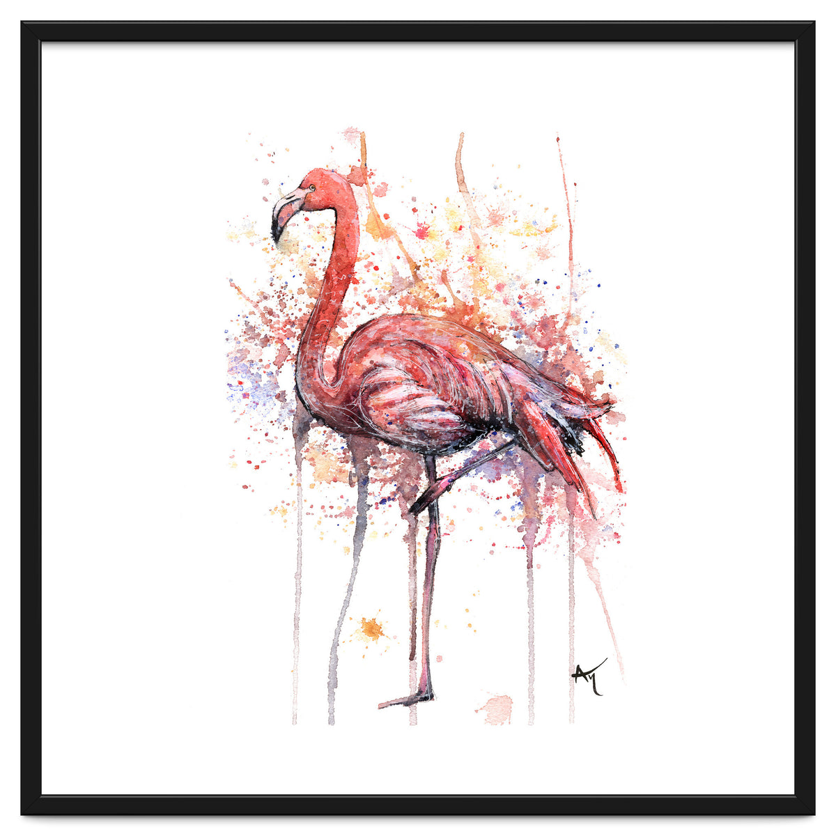 Flamingo - Wildlife Collection