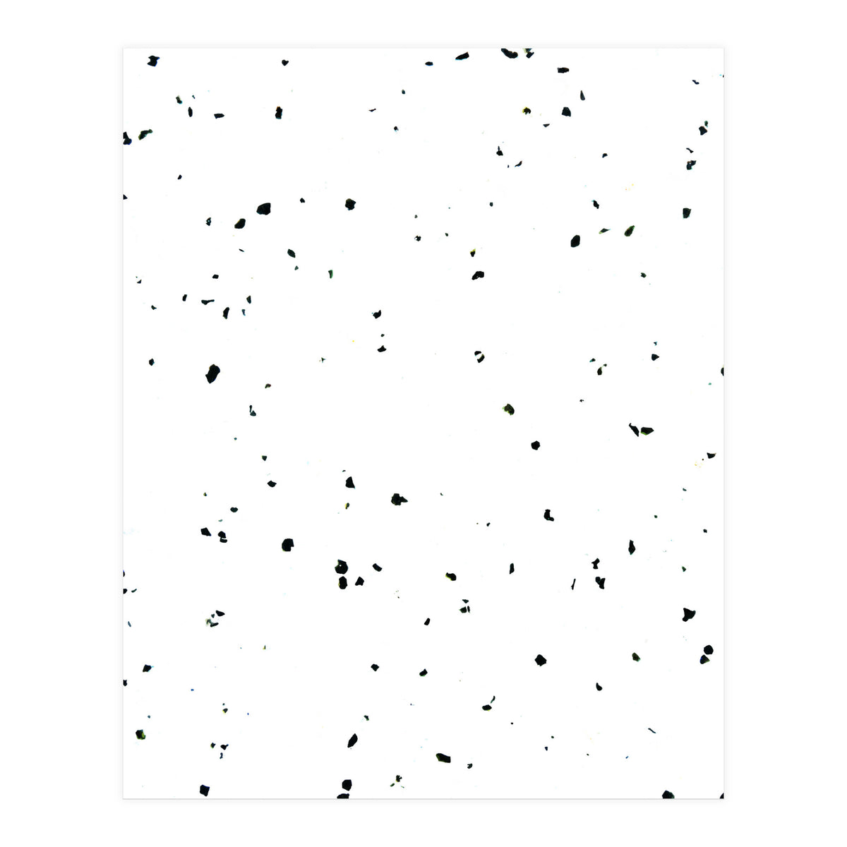 Choco Chip & Vanilla (Print Only)