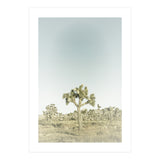 Vintage Joshua Tree  (Print Only) thumbnail