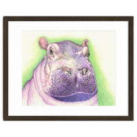 Purple Hippo
