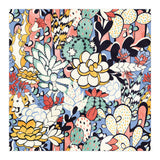 Blue Sky Succulents (Print Only) thumbnail