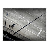 Cyclist (Print Only) thumbnail