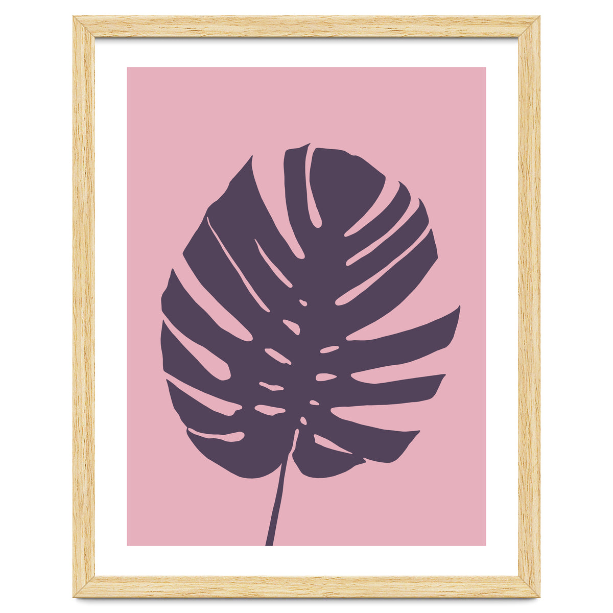 Monstera Deliciosa III