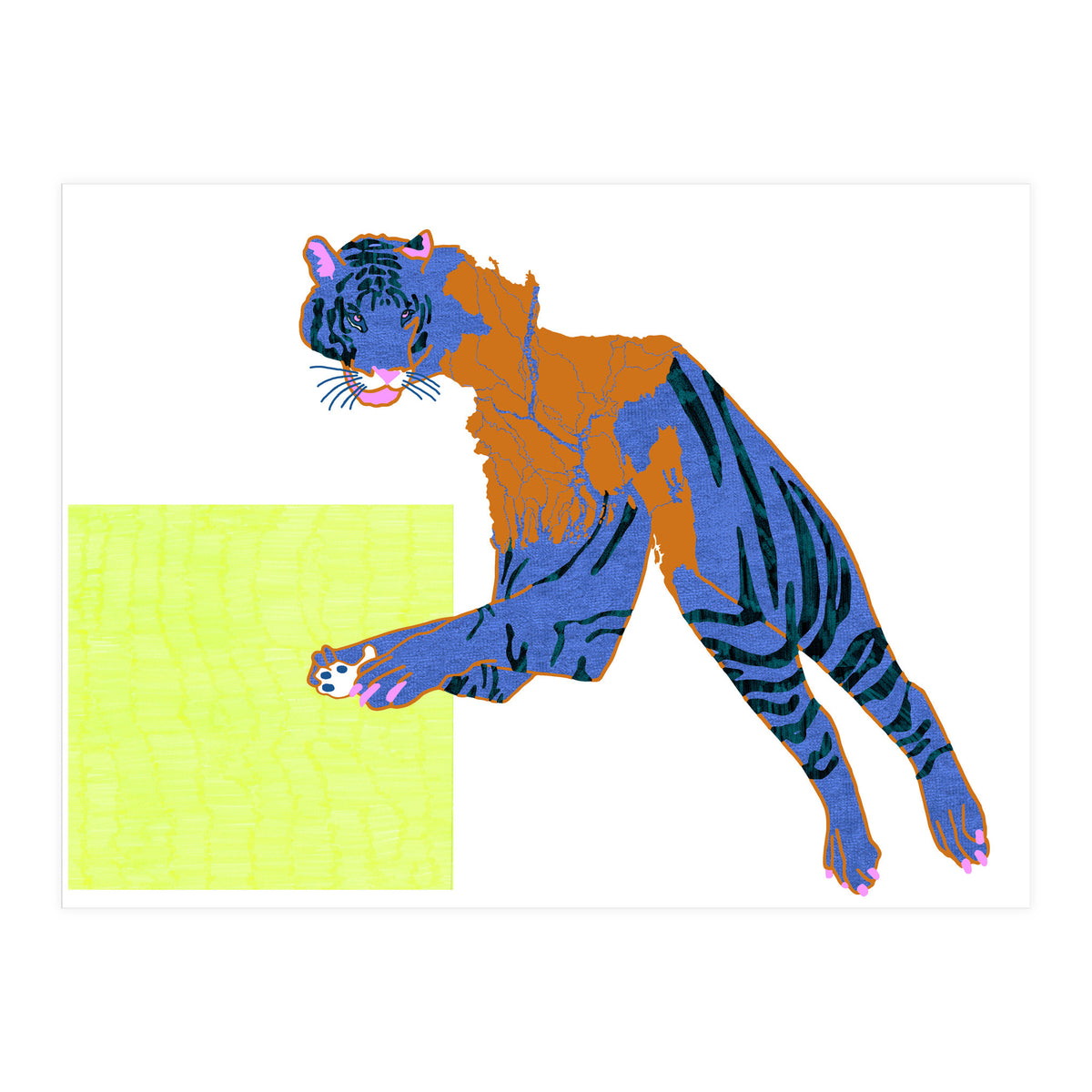 Bangladeshi Bengal Tiger  (Print Only)