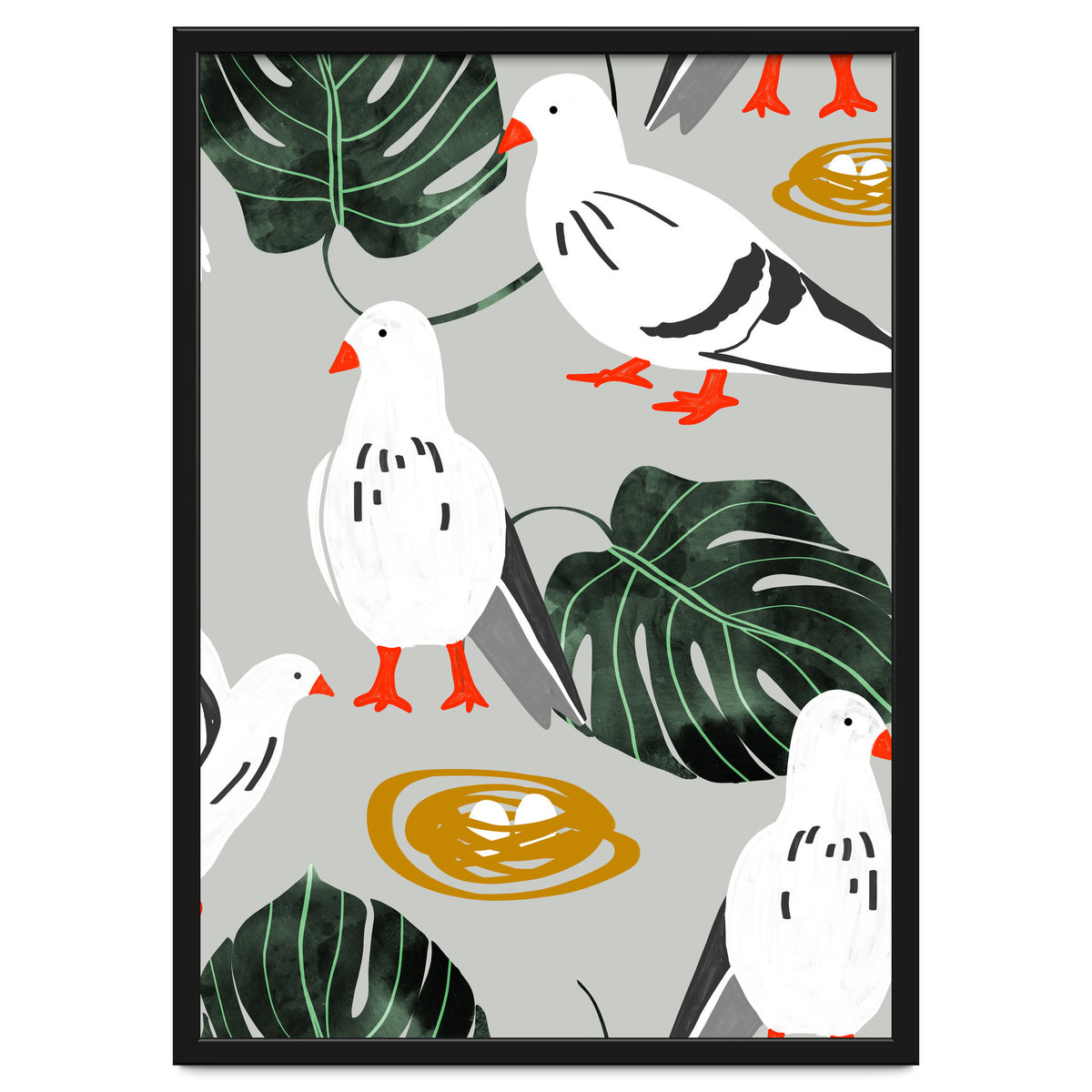 White Pigeons