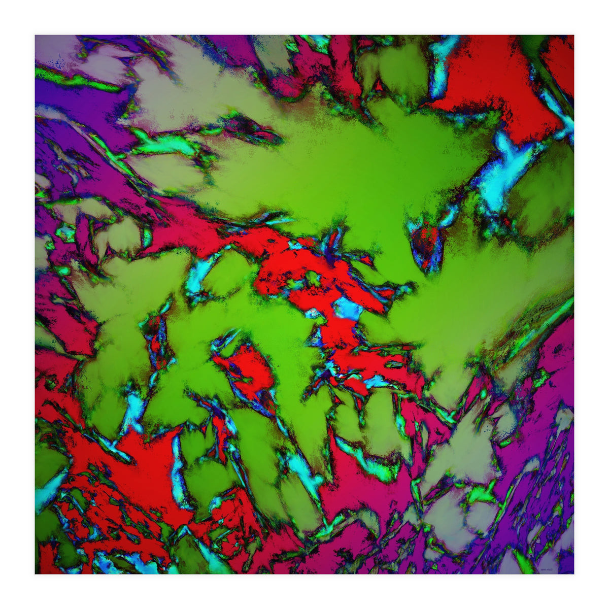 Enclosed Gardens (Print Only)