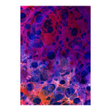 Color Overdose (Print Only) thumbnail