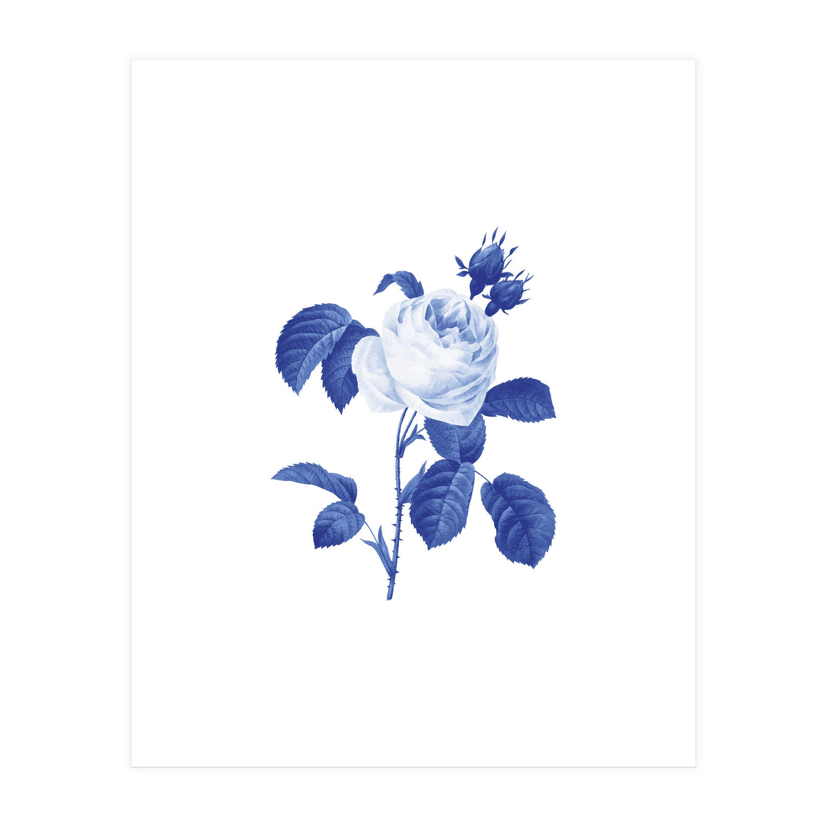 Blue Botanic I (Print Only)