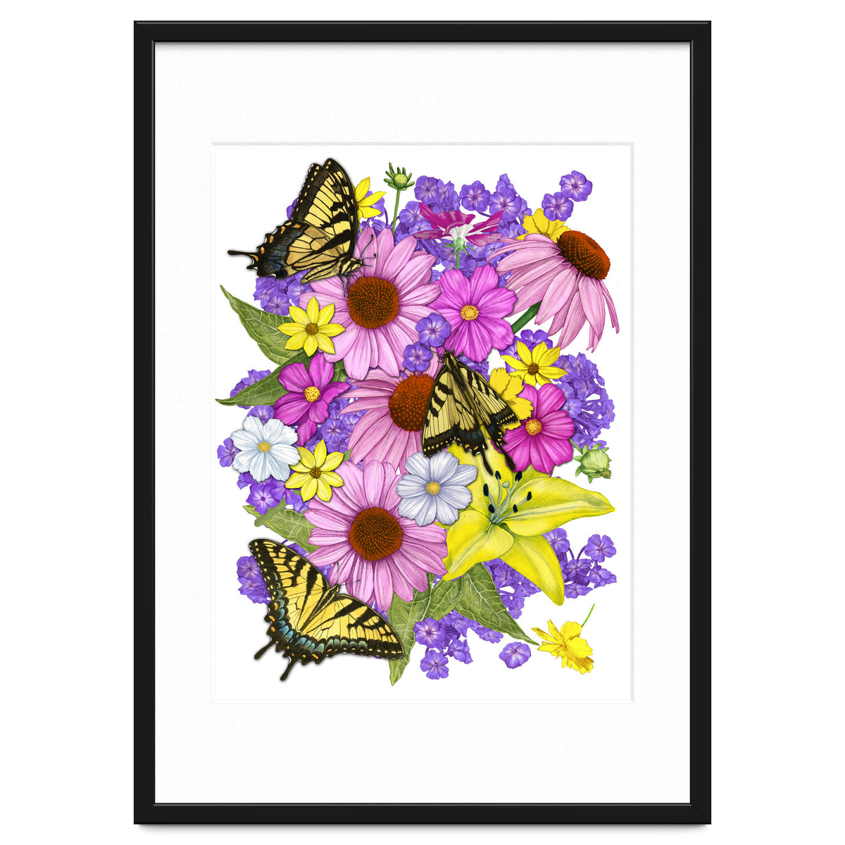 Corn Flowers and Swallowtails