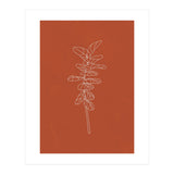 Line Art Botanical Terracotta (Print Only) thumbnail