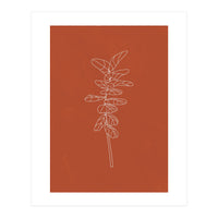 Line Art Botanical Terracotta (Print Only)