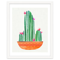 Tiny Cactus Blossoms