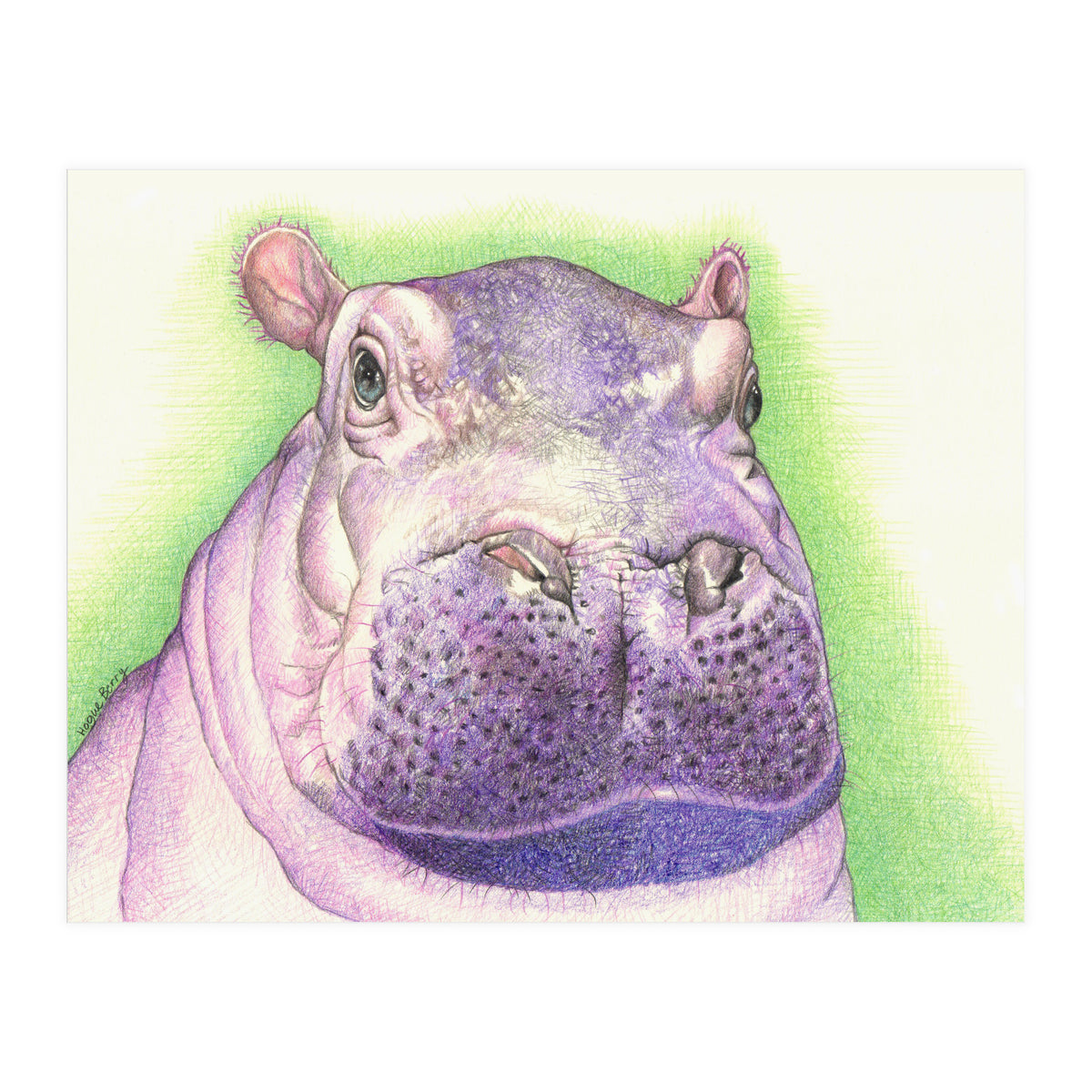 Purple Hippo (Print Only)