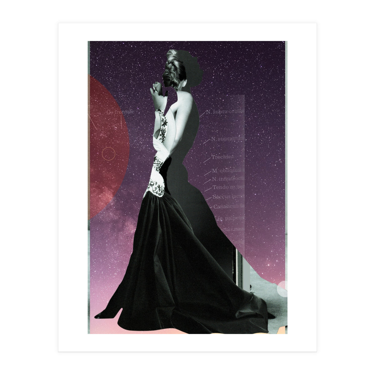 Princess (Print Only)