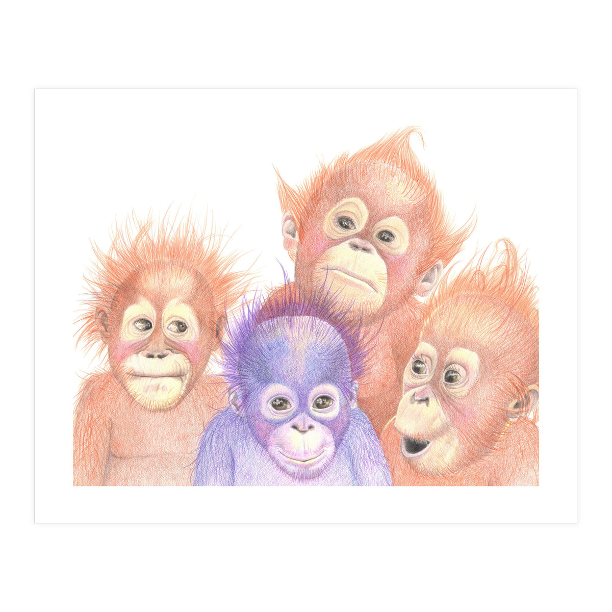 Orangutan Babies (Print Only)